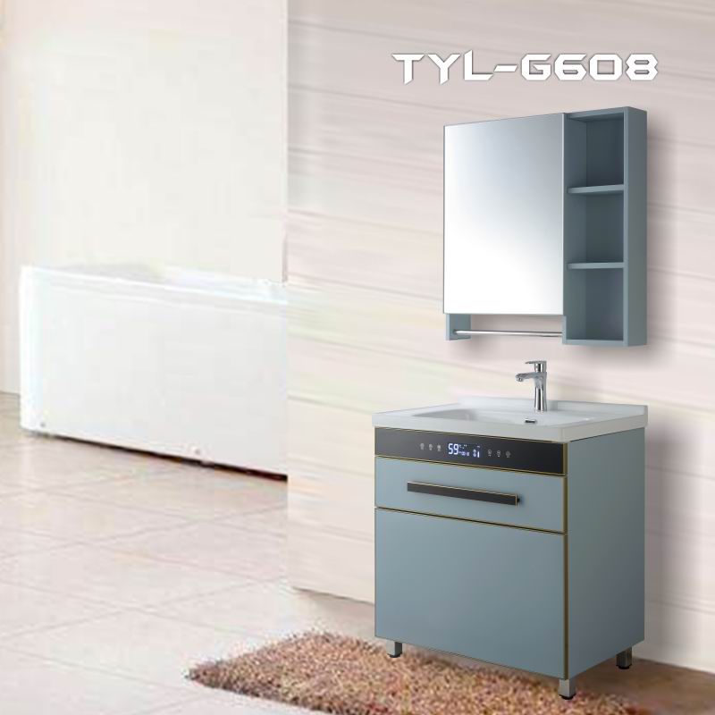 TLY-G608(尼德兰)